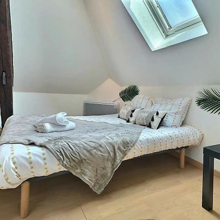 Le Travel - Appartement Equipe Proche Centre Et Yschools Troyes Ngoại thất bức ảnh